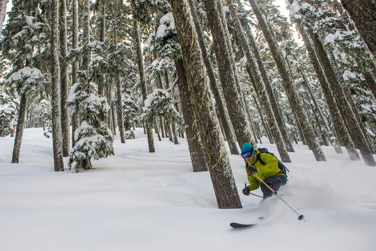 Telemark skiing throught the trees at Yodelin ski area, near Stevens Pass, Washington.