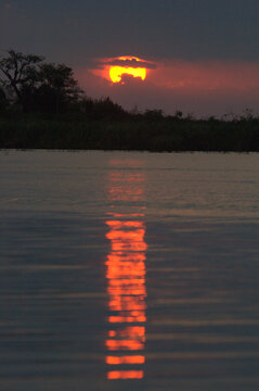 The setting sun casts a long reflection on the waters of  Laguna Ibera, Esteros del Ibera Provincial Reserve,  Esteros del Ibera
