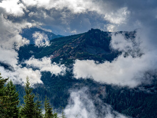 Fototapeta na wymiar Moody evergreen-forested mountain shrouded in clouds