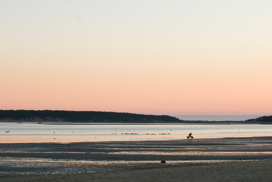 Cape Cod