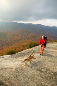 Female hiker with dog amidst the fall colors on top of Looking Glass Rock in the Pisgah National Forest near Brevard, NC.