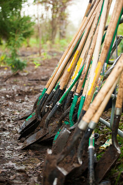 Numerous dirty shovels leaning up agains a fence.
