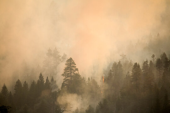 Angora Fire in South Lake Tahoe, CA