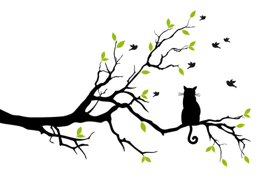 Black cat sitting on a tree branch, watching birds, illustration over a transparent background, PNG image