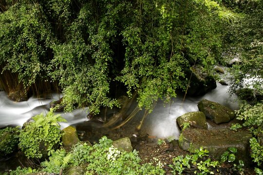 Rushing Stream, Gunnung Kawi, Tampaksiring, Bali, Indonesia