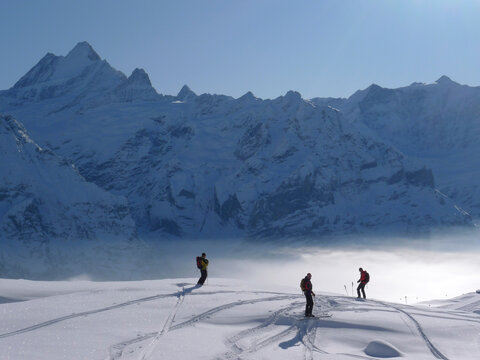 Three skiers are enjoying the view in the mountains of the Swiss Bernese Oberland.