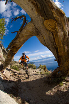 man biking in Lake Tahoe, NV