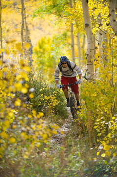 Male mountain biker riding in the mountains, Provo, Utah.
