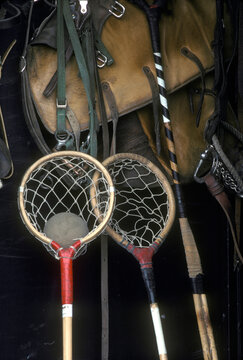 Polocrosse Images – Browse 68 Stock Photos, Vectors, and Video | Adobe ...