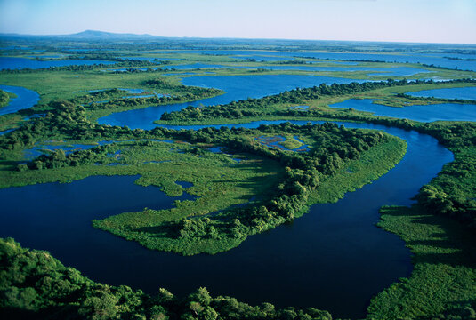 An aerial view of the Pantanal, the largest freshwater estuary in the world.