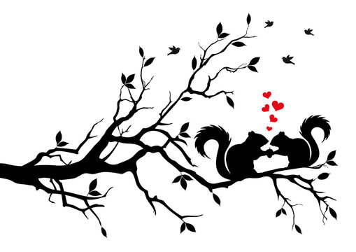 Nuts about you, two squirrels sitting on a tree branch, holding a nut, illustration over a transparent background, PNG image
