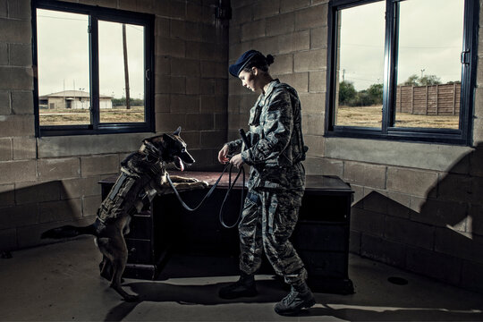 Air Force Security Forces K-9 handler, and her military working dog, seek out drugs inside a training house.