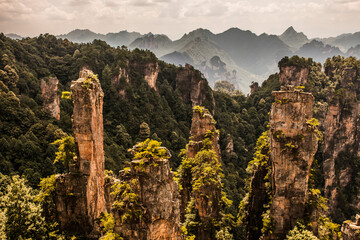 Karst pillars in Wulingyuan, China