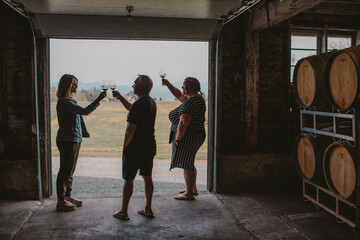Three friends toast while wine tasting at a local vineyard.
