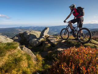 Mountain biker cycling on single trail on Ringelbuhlkopf, Alsace, France