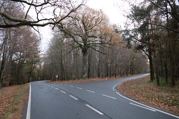 Fototapeta premium czech countryside landscape in autumn