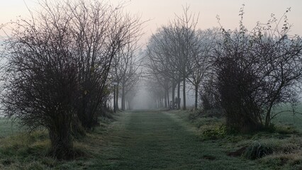 Fototapeta na wymiar misty morning in a czech countryside landscape