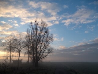 Fototapeta na wymiar misty morning in a czech countryside landscape