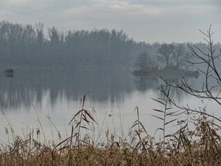 misty morning in a czech countryside landscape