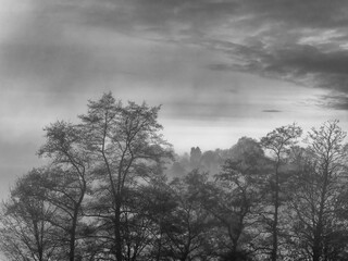 Black and white picture of a landscape in November fog.