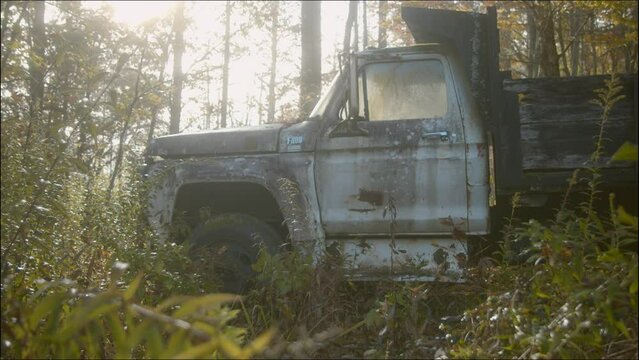 An old abandoned truck in the woods