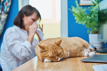 Woman allergic to pet fur, female coughing sneezing in napkin