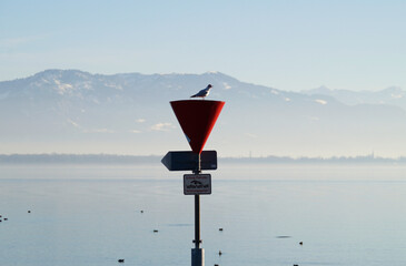 harbour of Lindau island on tranquil lake Constance or lake Bodensee with the Austrian Alps in the background on a fine winter evening with the scenic sky reflected in the water (Germany)