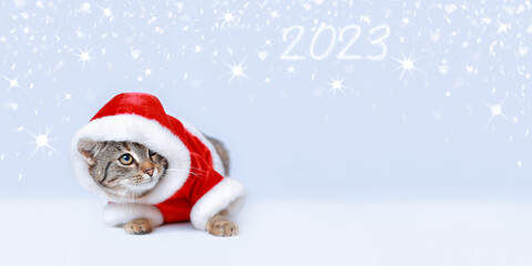 Cat looks at the inscription 2023. Happy New Year. Surprised Kitten. Charming Santa Claus on the white background. Greeting card. Merry Christmas. Web banner with copy space. Fabulous Santa Cat.