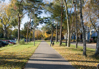 Fototapeta na wymiar male cyclist in the park among golden autumn leaves, change of seasons