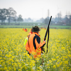 Treibjagd: Jäger in Signalkleidung laufen in einer Reihe, in einem Feld, mit blühenden Senf. - obrazy, fototapety, plakaty