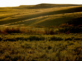 Native Alberta Grasslands at sunset near Medicine Hat Alberta