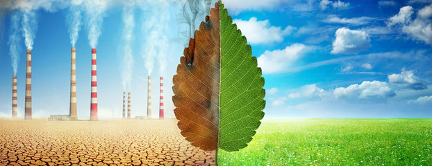 A tree leaf on a background of grass and clouds versus a withered leaf on a background of a dead...