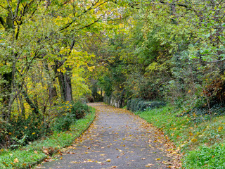 Naklejka premium Fall colors on an asphalt path of parc de la Cerisaie, Lyon, France