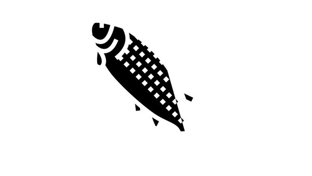 adult salmon glyph icon animation