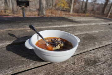 White Bowl, Spoon, Vegetable Soup with Tortilla Strips on Picnic Table in Fall