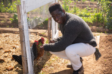 Portrait of middle age african farmer feeding hen in a chicken pen on an organic farm on a sunny day