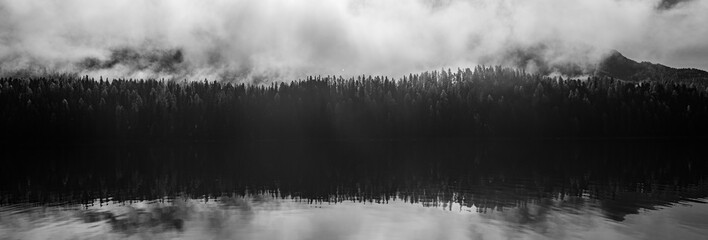 Panorama in black and white of larch trees along an alpine lake