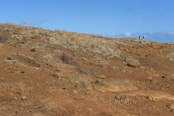 Desert (Martian) landscape. Two people on the horizon. Sunset.