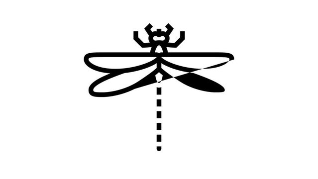 dragonfly insect line icon animation