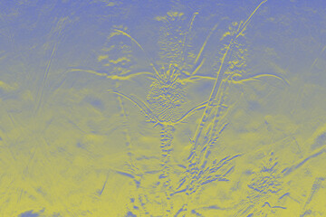 acuático, naturaleza, peces, río, charcas, verde, mar, lago, submarino, rana, verano, césped, con textura, abstracta, arroyo, recubrir, animal, azul