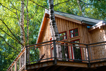 Fototapeta na wymiar Vacation home on a tree. Small wooden house in a birch forest