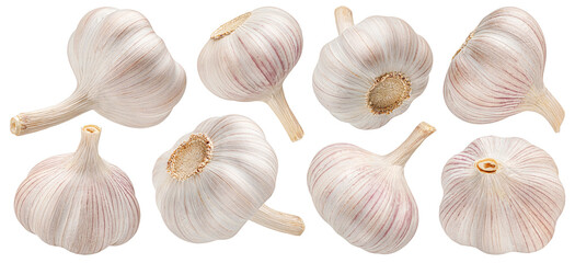 Garlic isolated on white background, collection