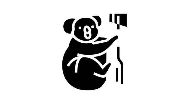koala animal in zoo glyph icon animation