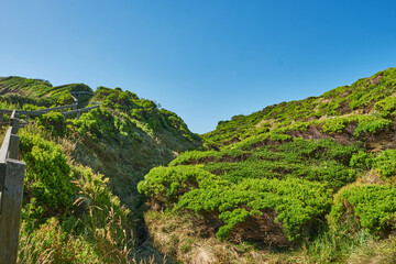 Tracks and Coastal Bushland Overlooking, Bass Strait and The Great Southern Ocean From Flinders In Victoria