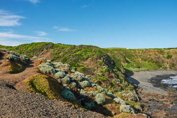 Tracks and Coastal Bushland Overlooking, Bass Strait and The Great Southern Ocean From Flinders In Victoria