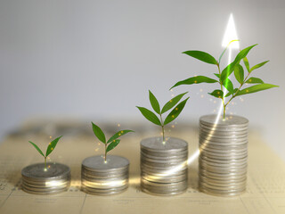 Stacks of coins, money, with plants sprout on top. Investment saving progress. Wealth growing step...