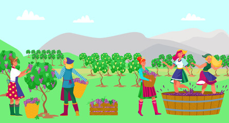 Traditional professional winemaker concept, character woman farmer together harvest grape tree wine flat vector illustration.
