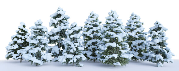 A group of pine trees covered in snow, 3D rendering