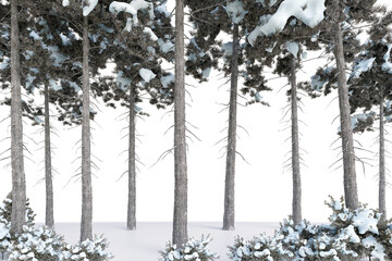 winter forest with snow, 3d rendering