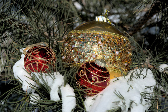 Holiday ornaments and decoration isn an outdoor tree with snow on the branches.